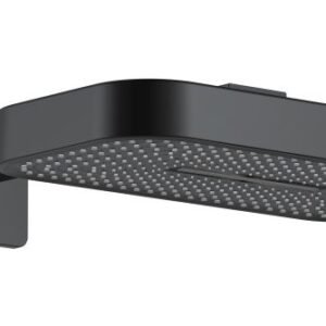 Neman 2 Function Shower Head With Arm