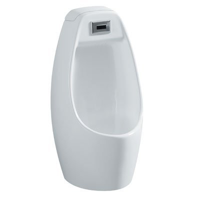 Dinaric Urinal with Auto Flush