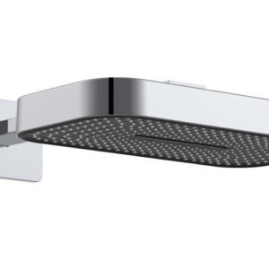 Neman 2 Function Shower Head With Arm