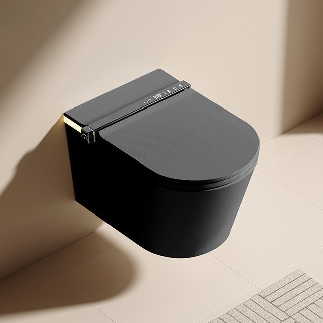 Intelligent Toilet Seat